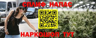 дурь Сланцы