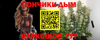 дурь Сланцы