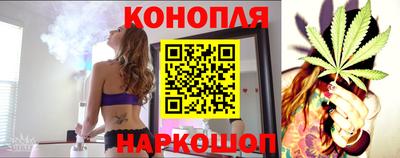 дурь Сланцы