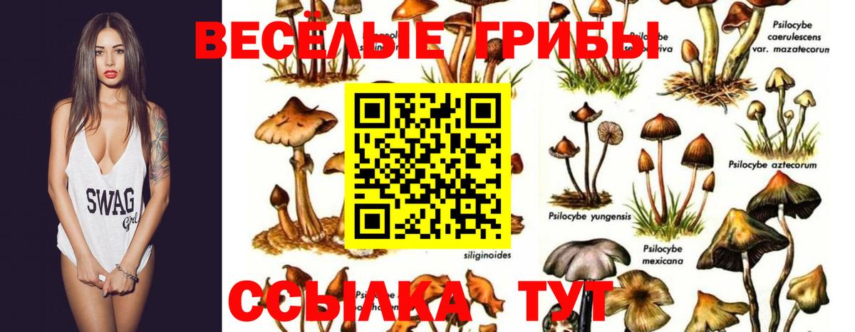 ГАШ  Марихуана  MDMA  NBOMe  Вход с VPN  Мефедрон   Орехово-Зуево  Кокаин 